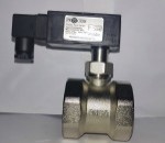 Paddle Flow Switch